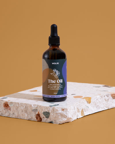 Bottle of hemp seed oil for dogs